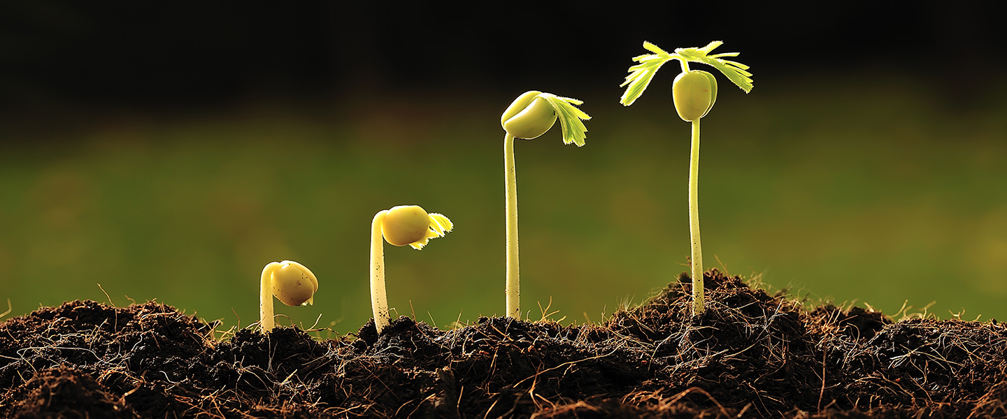 Botany Science