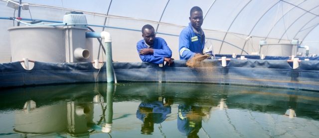 Aquatic and Horticulture